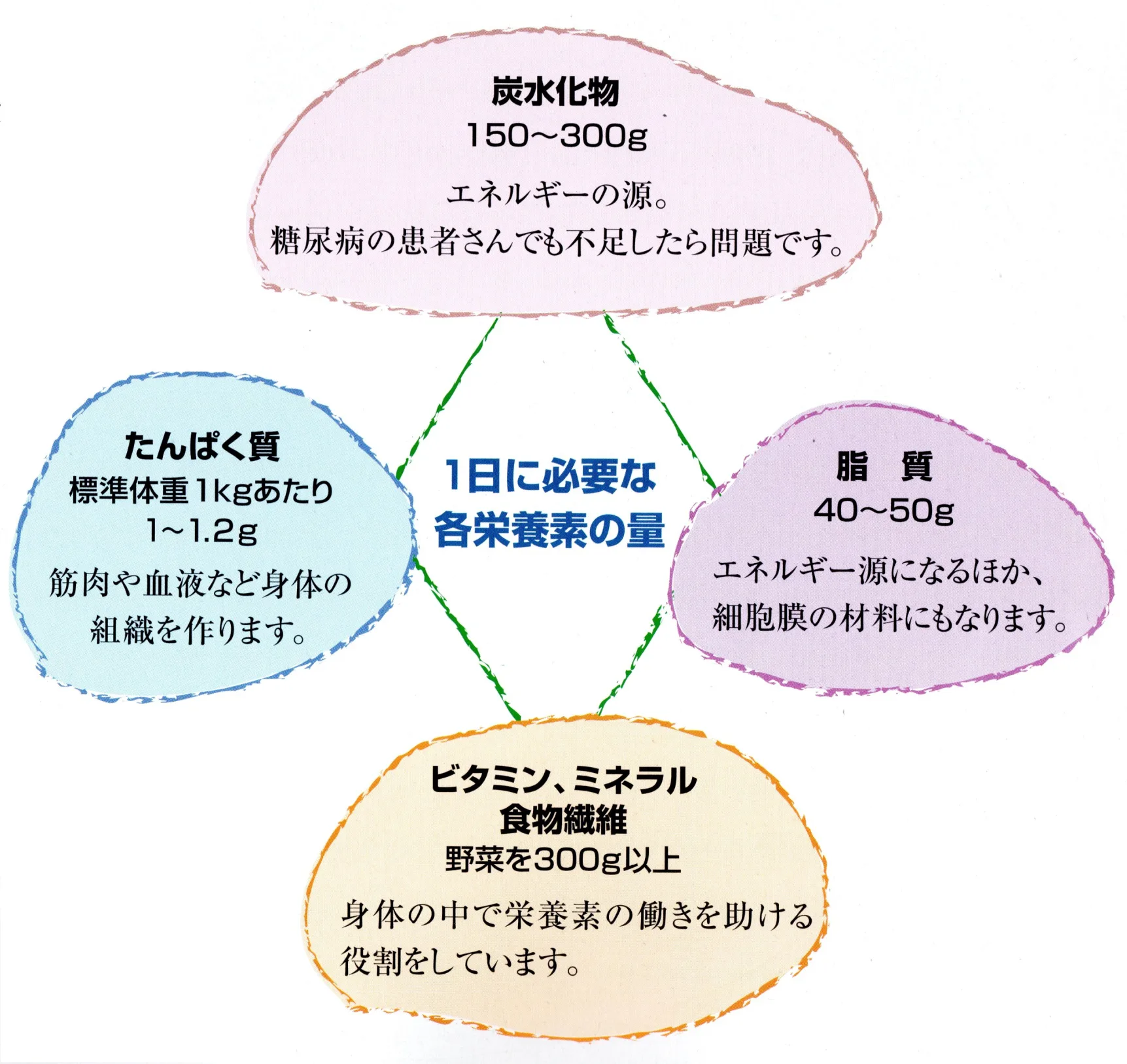 糖尿病の食事 風間内科医院